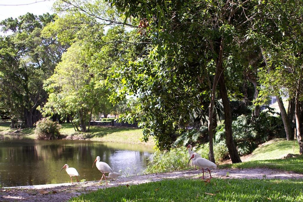 Club Wyndham Palm-Aire Ξενοδοχείο Pompano Beach Εξωτερικό φωτογραφία