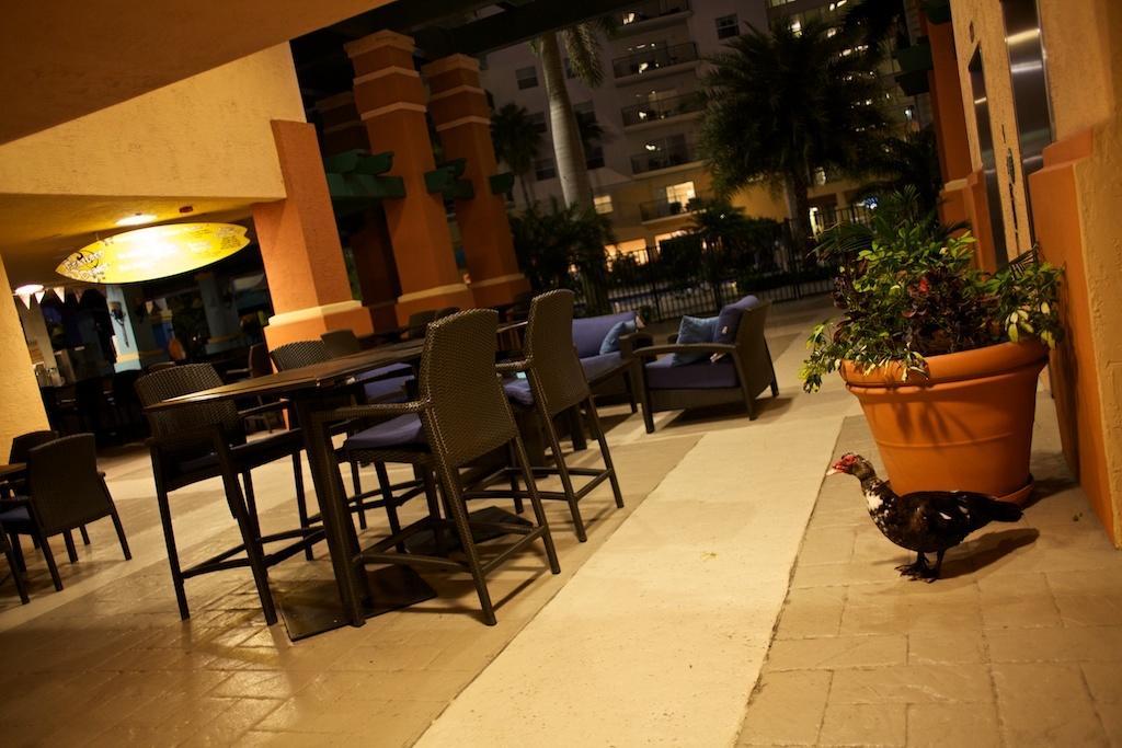 Club Wyndham Palm-Aire Ξενοδοχείο Pompano Beach Εξωτερικό φωτογραφία